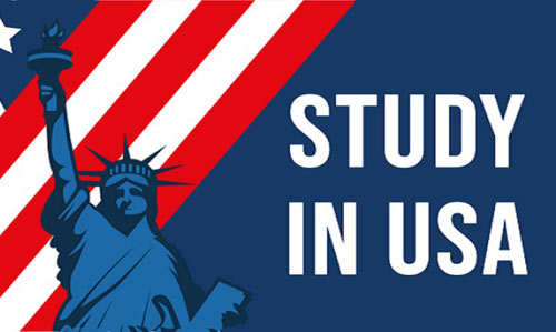 BSM Education